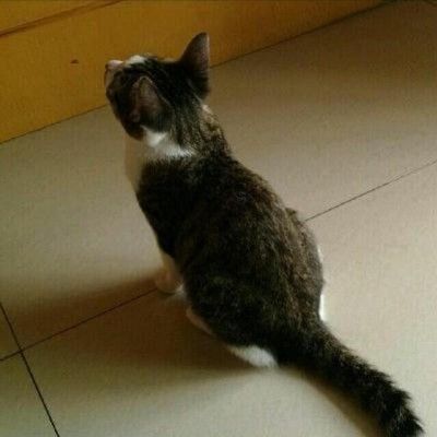overcat