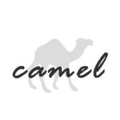 camel2243