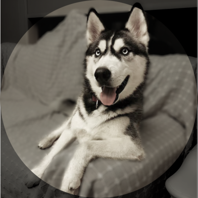 shadowhusky