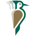 Accelerate Now logo