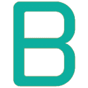 Black Light Inspections, LLC