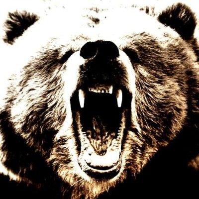 vodkabears