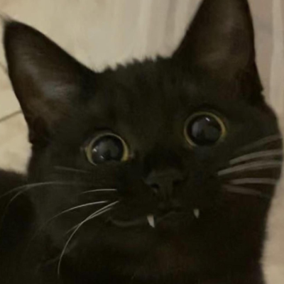 sofiapoh