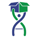 Evolution Moving Company