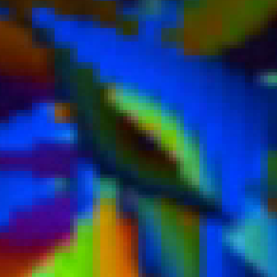 freitagbr