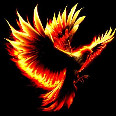 Ardeshir Nahavandi Fard