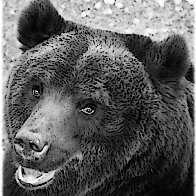 dpennica's avatar