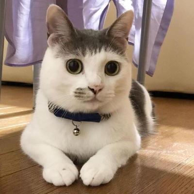 quantbm's avatar