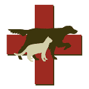 Highland Park Animal Hospital