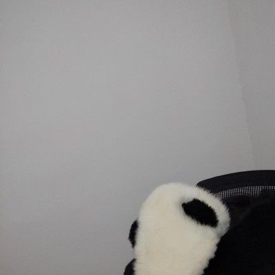 ikesnowy