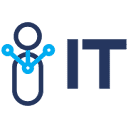 IT USA Services logo