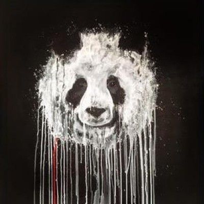 wonderpanda