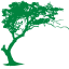 Key Financial, INC. logo