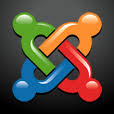 MAXXCOM logo