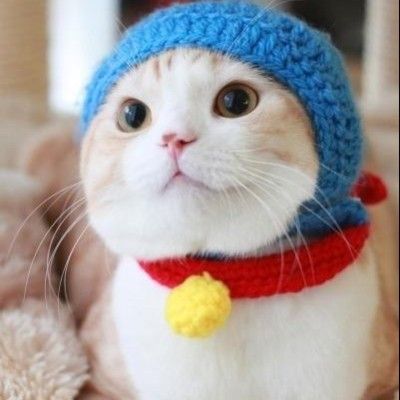 ishowshao