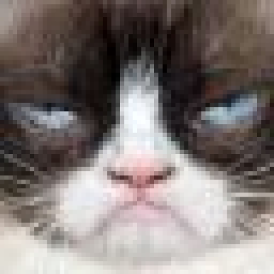 grumpymeow