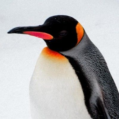 davidjcralph