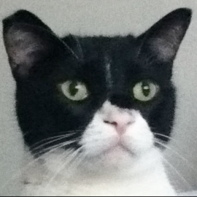 otterthecat