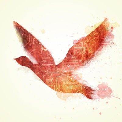 redgoose