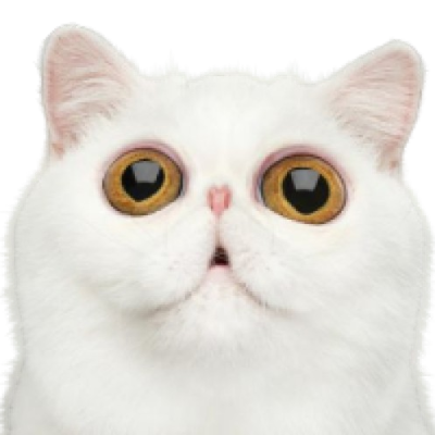 serebasikk
