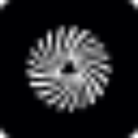 SLK Software logo