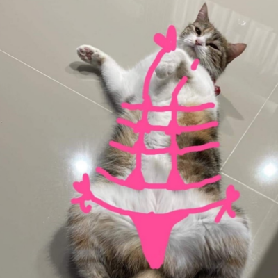 thanathip41