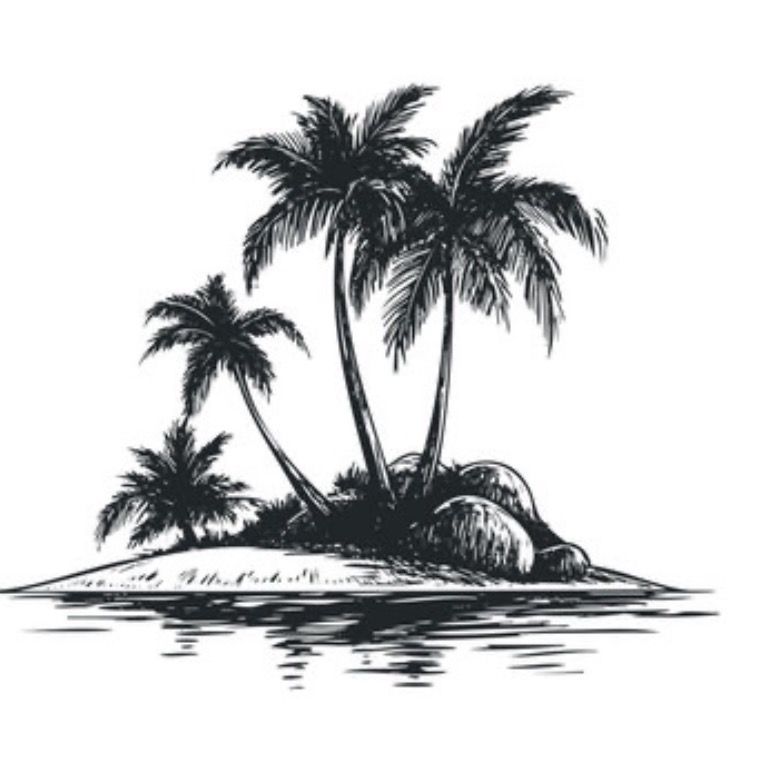 @islandfinds 프로필