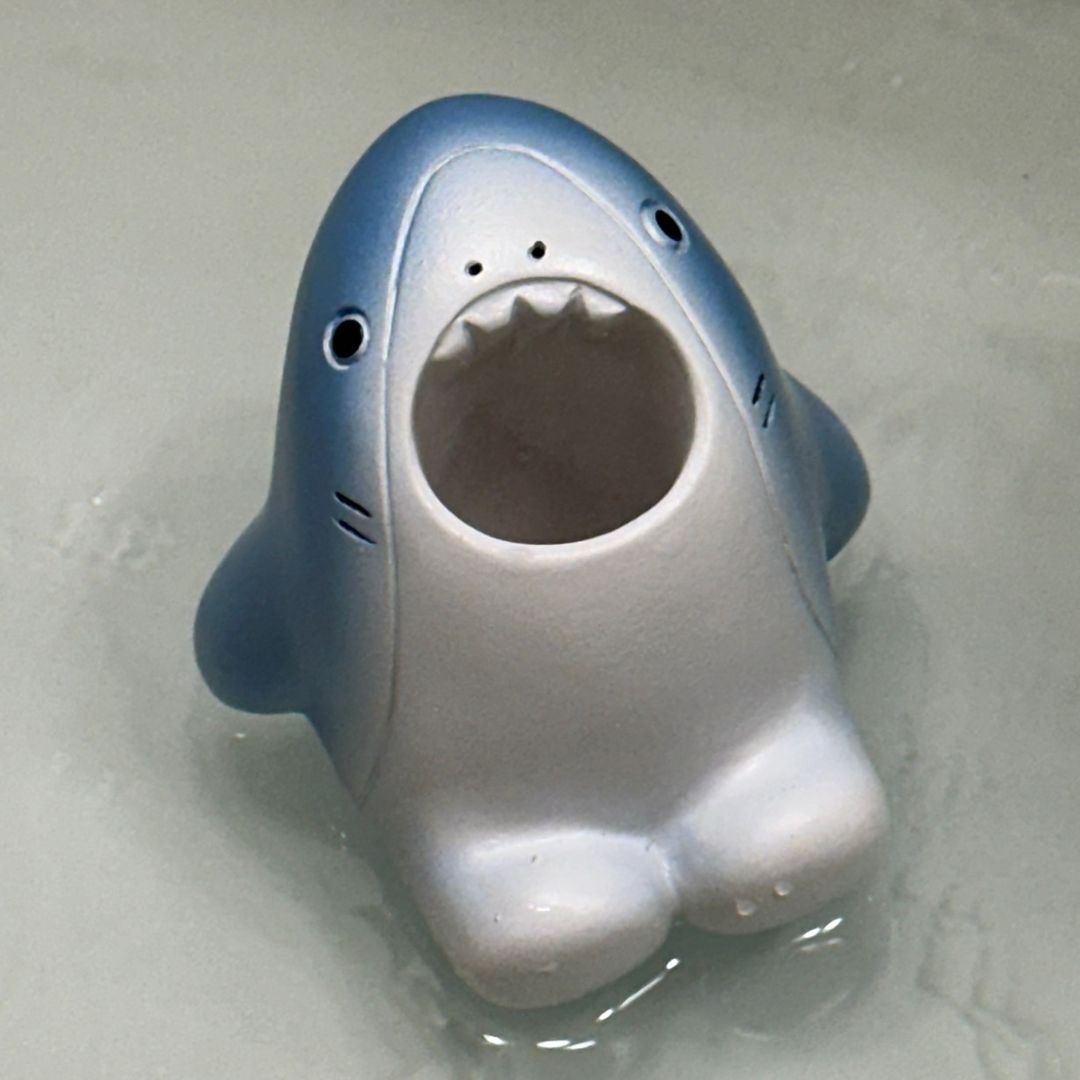 @Sharkiee 🦈 프로필