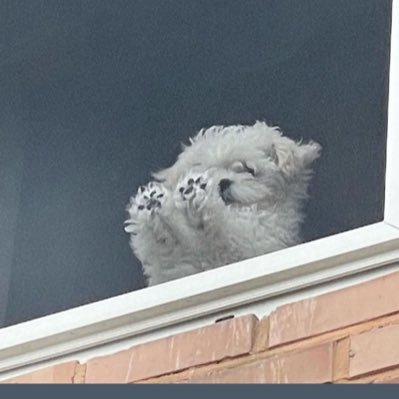 ‌ ‌ ‌ ‌ ‌ ‌ ‌ ‌ ︎ ︎ ︎ ︎*um