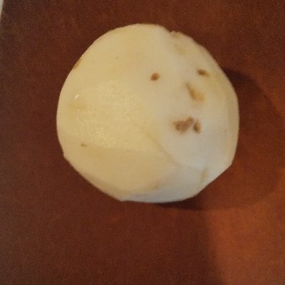 コンブー・タケノッコ 2世