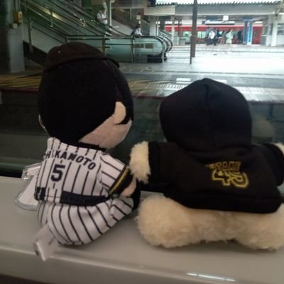 M28🐯🏟️（まさひろ）12/7ポーアイ🥟