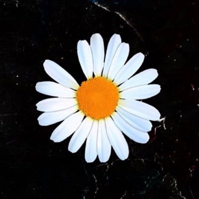 lis@🐈‍⬛取引！