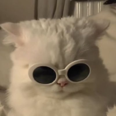 𝕟𝕚𝕒@取引垢