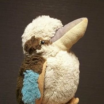 た・け・し💙(Ta-ke-shi)