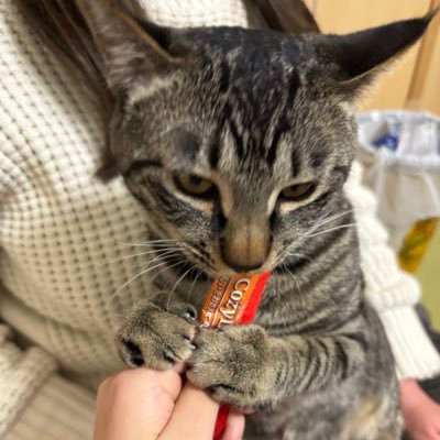 さくらんぼ