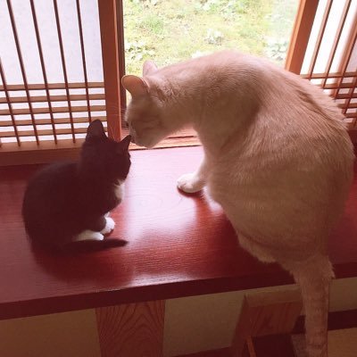 カス岡クズ輝