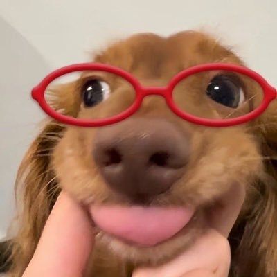 (`⸝⎚⩊⎚´)