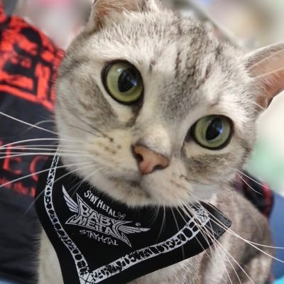 イズミィじえんど🍣