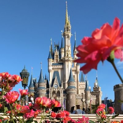 So--Ya(*^▽^)/★*☆♪