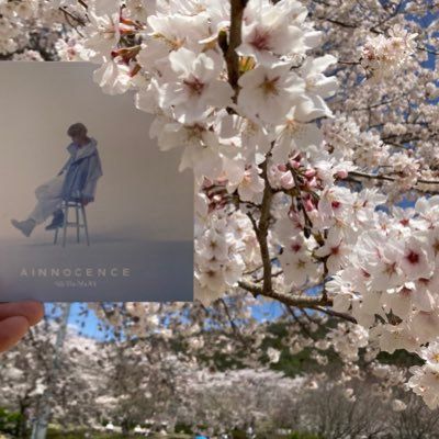 yoshi_🫧🗼SMS🐬🐧📦