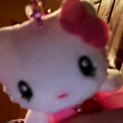 ごんちゃ‼️
