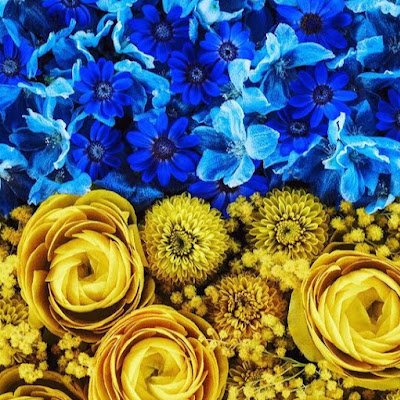 老婆心の若輩者