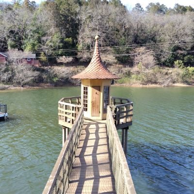 虫ケラ