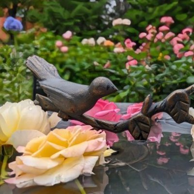 いちごいちえん