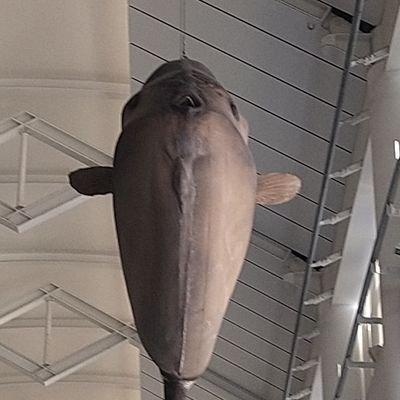 RGZのイラスト垢