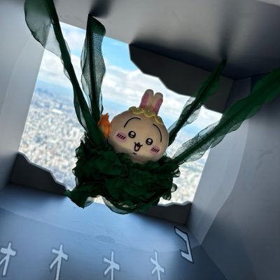 ゆー