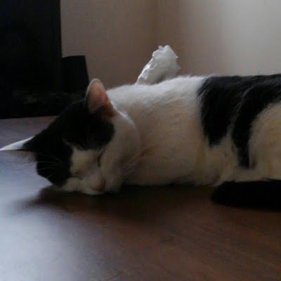 俺らいちぬけた