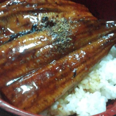 なんかのうなぎ