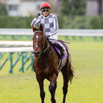 栗毛《競馬大好き》