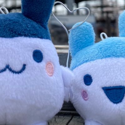 ちみ🪄シヨンペン🐰